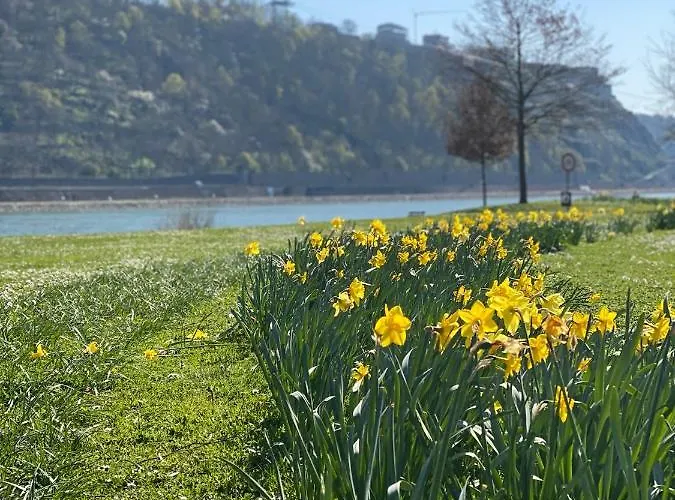 Kusch'lige Kleine Apartment